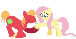 Size: 1532x789 | Tagged: safe, artist:mlplary6, big macintosh, fluttershy, earth pony, pegasus, pony, g4, blushing, boyfriend and girlfriend, duo, eyes closed, female, holding hooves, love, male, mare, ship:fluttermac, shipping, simple background, smiling, stallion, straight, transparent background, vector
