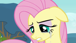 Size: 1280x720 | Tagged: safe, artist:incredibubbleirishguy, edit, edited screencap, editor:incredibubbleirishguy, screencap, fluttershy, pegasus, pony, g4, hurricane fluttershy, crying, eyeshadow, female, fluttercry, makeup, makeup edit, mare, pink eyeshadow, sad, solo, teary eyes