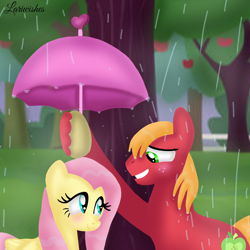 Size: 1400x1400 | Tagged: safe, artist:mlplary6, big macintosh, fluttershy, earth pony, pegasus, pony, g4, blushing, boyfriend and girlfriend, duo, female, looking at each other, looking at someone, male, mare, rain, romantic, ship:fluttermac, shipping, smiling, smiling at each other, stallion, straight, sweet apple acres, tree, umbrella, wet, wet mane