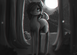Size: 1050x750 | Tagged: safe, artist:minckies, oc, oc only, earth pony, pony, earth pony oc, forest, full moon, grayscale, hair over one eye, monochrome, moon, outdoors, solo