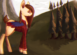 Size: 1050x750 | Tagged: safe, artist:minckies, oc, oc only, pegasus, pony, clothes, forest, glasses, mountain, outdoors, pegasus oc, solo, tree, wings