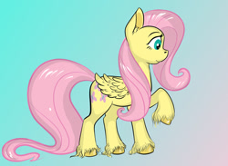 Size: 1500x1096 | Tagged: safe, artist:cutiecarbon, fluttershy, pegasus, pony, unicorn, g4, gradient background, solo, unshorn fetlocks