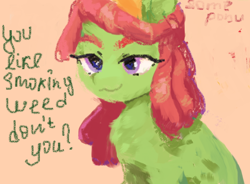 Size: 712x524 | Tagged: safe, artist:some_ponu, tree hugger, earth pony, pony, g4, drugs, female, mare, marijuana, ms paint, solo, text