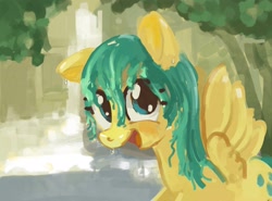 Size: 2691x1993 | Tagged: safe, artist:mandumustbasukanemen, sunshower raindrops, pegasus, pony, g4, dripping, female, looking at you, mare, open mouth, painterly, rain, smiling, smiling at you, solo, water, wet, wet mane