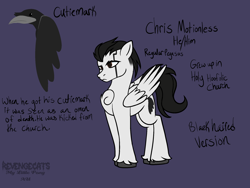 Size: 2160x1620 | Tagged: safe, artist:revenge.cats, pegasus, pony, chest fluff, chris cerulli, cutie mark, motionless in white, ponified, reference sheet, simple background, solo
