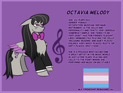 Size: 4000x3000 | Tagged: source needed, safe, artist:acria, octavia melody, pegasus, pony, comic:friendship reimagined, g4, alternate universe, character design, clothes, female, pride, pride flag, race swap, redesign, solo, trans female, transgender, transgender pride flag