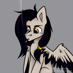 Size: 500x500 | Tagged: source needed, safe, artist:canada_cho_nado, oc, oc:locus, pony, sphinx, animated, cigarette, colored wings, crying, doomer, smoking, solo, two toned wings, wings