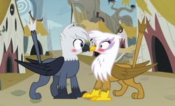 Size: 2936x1782 | Tagged: safe, artist:php170, gilda, oc, oc:grey, oc:grey the griffon, griffon, g4, beak, blushing, boop, canon x oc, cute, duo, duo male and female, embarrassed, female, griffon oc, griffonstone, hair, male, noseboop, shipping, straight, tail, vector, wings