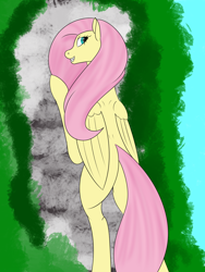 Size: 1200x1600 | Tagged: safe, artist:saintgryphonii, fluttershy, pegasus, pony, g4, bipedal, bipedal leaning, butt, female, leaning, looking back, plot, solo