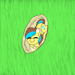 Size: 2048x2048 | Tagged: safe, artist:zugatti69, oc, oc only, oc:okopod, pegasus, pony, basket, blue mane, brown mane, cute, grass, grass field, happy, high res, looking at you, looking up, looking up at you, lying down, ponyloaf, prone, smiling, smiling at you, solo, yellow fur