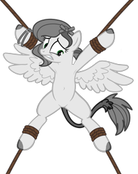 Size: 3533x4464 | Tagged: safe, artist:equestria secret guard, oc, oc only, oc:tabata, pegasus, pony, armpits, base used, belly, belly button, bondage, featureless crotch, female, helpless, lying down, mare, medibang paint, not pipp petals, pegasus oc, ribbon, rope, rope bondage, ropes, sexy, show accurate, simple background, solo, spread eagle, spread legs, spread wings, spreading, tied up, transparent background, wings
