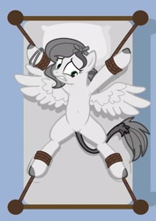 Size: 1536x2166 | Tagged: safe, artist:equestria secret guard, oc, oc only, oc:tabata, pegasus, pony, armpits, base used, bed, belly, belly button, bondage, featureless crotch, female, helpless, lying down, mare, medibang paint, not pipp petals, on back, pegasus oc, ribbon, rope, rope bondage, ropes, sexy, show accurate, simple background, solo, spread eagle, spread legs, spread wings, spreading, tied to bed, tied up, wings