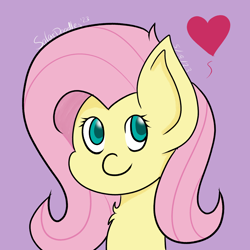 Size: 3000x3000 | Tagged: safe, artist:solardoodles, fluttershy, pegasus, pony, g4, bust, chest fluff, cute, floating heart, heart, high res, portrait, purple background, shading, shyabetes, signature, simple background, smiling, solo