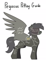 Size: 2056x2729 | Tagged: safe, artist:renderpoint, pegasus, pony, anatomy guide, concave belly, high res, monochrome, petting, petting guide, side view, silhouette, silly, simple background, slender, solo, spread wings, standing, thin, white background, wings, yes