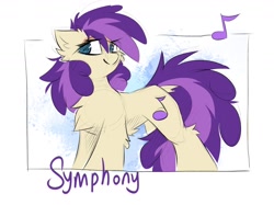 Size: 1706x1277 | Tagged: safe, artist:kejifox, symphony, earth pony, pony, g4, cheek fluff, chest fluff, concave belly, female, simple background, solo, text