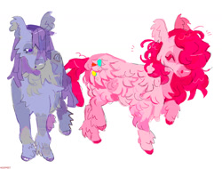 Size: 1435x1089 | Tagged: safe, artist:hoofpeet, maud pie, pinkie pie, donkey, g4, cloven hooves, duo, fluffy, poitou, simple background, species swap, white background