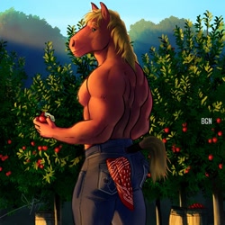 Size: 1300x1300 | Tagged: safe, artist:bgn, big macintosh, horse, anthro, g4, afternoon, apple, ass, back muscles, big backintosh, butt, clothes, food, handkerchief, hoers, looking at you, male, muscles, muscular male, nipples, nudity, pants, partial nudity, pecs, standing, topless