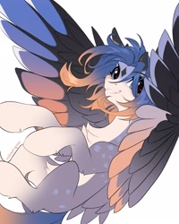 Size: 1729x2160 | Tagged: safe, artist:redchetgreen, oc, oc only, pegasus, pony, chest fluff, coat markings, facial markings, flying, looking at you, pale belly, simple background, smiling, smiling at you, solo, spread wings, star (coat marking), white background, windswept mane, wings