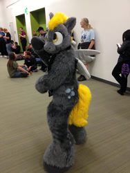 Size: 600x800 | Tagged: safe, artist:aokichan, artist:ino89777, artist:jpupbob, derpy hooves, human, g4, fursuit, further confusion 2013, irl, irl human, photo, ponysuit, solo focus, spread wings, wings