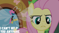 Size: 2000x1125 | Tagged: safe, edit, edited screencap, editor:quoterific, screencap, fluttershy, seabreeze, breezie, pegasus, pony, g4, it ain't easy being breezies, female, mare, pink mane, pink tail, tail, wings, yellow coat