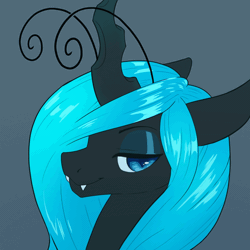 Size: 800x800 | Tagged: safe, artist:renabu, oc, oc only, oc:queen fylifa, changeling, animated, blue changeling, bust, changeling oc, female, icon, portrait, solo, talking to viewer