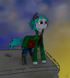 Size: 1000x1100 | Tagged: safe, artist:desperius, oc, oc only, earth pony, pony, augmented, bulletproof vest, clothes, cloud, prosthetics, rooftop, simple background, solo