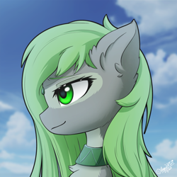 Size: 2048x2048 | Tagged: safe, artist:hugo231929, oc, oc only, oc:jade stonesetter, pegasus, pony, bust, chest fluff, choker, cloud, cloudy, commission, cute, ear fluff, eyebrows, female, fireworks, green eyes, high res, looking away, mare, open mouth, pegasus oc, portrait, profile picture, side view, sky, smiling, solo
