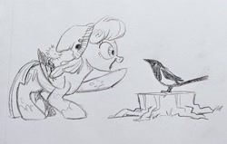 Size: 2048x1305 | Tagged: safe, artist:mellodillo, oc, oc only, oc:cold snap, bird, magpie, pegasus, pony, cap, female, grayscale, hat, mare, monochrome, open mouth, open smile, pegasus oc, pencil drawing, pointing, side view, smiling, solo, traditional art, tree stump