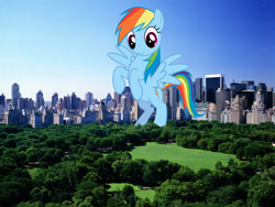 Size: 1600x1200 | Tagged: safe, artist:kishmond, artist:theotterpony, rainbow dash, pegasus, pony, g4, bipedal, female, giant pony, giantess, highrise ponies, irl, macro, mare, new york, photo, ponies in real life, solo, spread wings, story in the source, wings