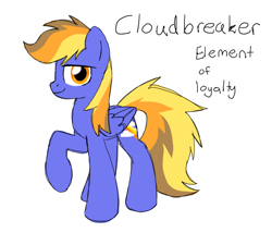 Size: 880x791 | Tagged: safe, artist:solixy406, oc, oc only, oc:cloudbreaker, pegasus, pony, alternate universe, element of loyalty, simple background, solo, white background