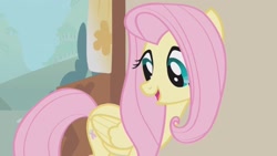 Size: 1920x1080 | Tagged: safe, screencap, fluttershy, pegasus, pony, g4, swarm of the century, cute, open mouth, shyabetes, solo