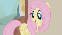 Size: 1920x1080 | Tagged: safe, screencap, fluttershy, pegasus, pony, g4, my little pony: friendship is magic, swarm of the century, cute, open mouth, shyabetes, solo