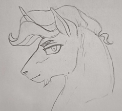 Size: 1984x1798 | Tagged: safe, artist:saby, derpibooru exclusive, oc, oc only, oc:fritillary, pony, unicorn, black and white, bust, facial hair, flared nostrils, goatee, grayscale, looking at you, male, monochrome, pencil drawing, portrait, shrunken pupils, side view, simple background, smiling, smirk, solo, stallion, traditional art, wavy mane, white background