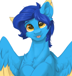 Size: 2232x2362 | Tagged: safe, artist:dorkmark, oc, oc only, oc:helmie, pegasus, pony, chest fluff, ear fluff, high res, male, simple background, smiling, solo, stallion, tongue out, white background, wings