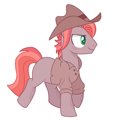 Size: 1280x1280 | Tagged: safe, artist:pinklem0nadepunk, oc, oc only, earth pony, pony, base used, clothes, cowboy hat, hat, male, offspring, outline, parent:big macintosh, parent:maud pie, parents:macinmaud, shirt, simple background, smiling, solo, stallion, transparent background, white outline