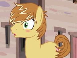 Size: 1179x887 | Tagged: safe, screencap, feather bangs, earth pony, pony, g4, hard to say anything, blushing, cropped, cute, male, open mouth, solo, stallion, starlight's village