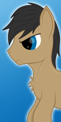 Size: 1605x3200 | Tagged: safe, artist:rugalack moonstar, oc, oc only, oc:cogs fixmore, earth pony, pony, simple background, solo