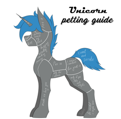 Size: 3918x3840 | Tagged: safe, artist:bydena, pony, unicorn, anatomy guide, bellyrubs, blue mane, colored, flat colors, high res, horn, implied butt grab, implied hornjob, meme, petting, petting guide, simple, simple background, solo, tail, white background