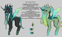 Size: 1280x777 | Tagged: safe, artist:pcktknife, queen chrysalis, changedling, changeling, changeling queen, g4, changedling queen, colored eyelashes, colored sclera, crown, eyeshadow, gradient legs, gray background, hair bun, headcanon, jewelry, makeup, redesign, regalia, simple background, solo, spread wings, standing, tail, tail bun, text, wings