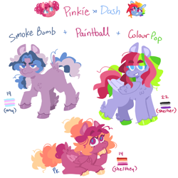 Size: 1280x1280 | Tagged: safe, artist:pcktknife, oc, oc:colour pop, oc:paintball, oc:smoke bomb, earth pony, pegasus, pony, g4, asexual, asexual pride flag, earth pony oc, lesbian pride flag, magical lesbian spawn, offspring, parent:pinkie pie, parent:rainbow dash, parents:pinkiedash, pegasus oc, pride, pride flag, pronouns, simple background, transgender, transgender pride flag, trio focus, white background