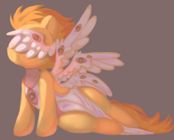 Size: 880x711 | Tagged: safe, artist:amaeeart, spitfire, angel, pony, seraph, g4, biblically accurate angels, colored wings, multicolored wings, multiple eyes, multiple wings, solo, wings
