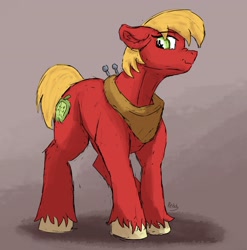 Size: 3192x3232 | Tagged: safe, artist:reddthebat, big macintosh, earth pony, pony, g4, floppy ears, high res, looking back, looking down, male, nose wrinkle, solo, stallion