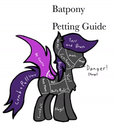 Size: 1414x1548 | Tagged: safe, artist:lostbrony, bat pony, anatomy guide, colored, flat colors, meme, petting, petting guide, simple background, text