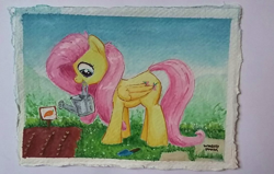 Size: 1096x696 | Tagged: safe, artist:whiskeypanda, fluttershy, pegasus, pony, g4, day, garden, gouache, mouth hold, outdoors, sign, signature, solo, traditional art, trowel, vegetables, watering can