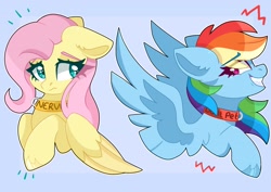 Size: 2432x1721 | Tagged: safe, artist:cinnamontee, fluttershy, rainbow dash, pegasus, pony, g4, collar, collar ring, cute, dashabetes, duo, eye clipping through hair, fangs, female, mare, nervous, shyabetes, simple background, spread wings, unshorn fetlocks, upper body, wings