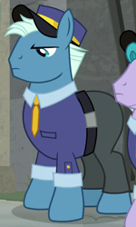 Size: 430x715 | Tagged: safe, screencap, brick house, tough break, earth pony, pony, g4, the last laugh, clothes, cropped, female, hat, male, male focus, mare, necktie, offscreen character, outdoors, pants, shirt, solo focus, stallion, unamused