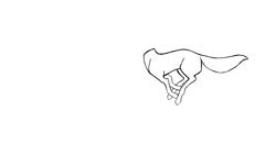 Size: 1920x1080 | Tagged: safe, artist:minckies, oc, oc only, earth pony, pony, animated, earth pony oc, gif, headless, running, simple background, solo, walk cycle, walking, white background