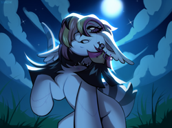 Size: 4000x2982 | Tagged: safe, artist:sugarstar, oc, oc only, earth pony, pony, collar, ear piercing, grass, moon, night, photo, piercing, solo, spiked collar