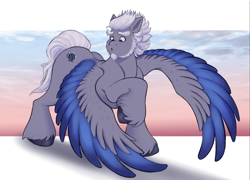 Size: 2722x1960 | Tagged: safe, artist:sallylla, alphabittle blossomforth, pegasus, pony, g5, :o, beard, eyebrows, facial hair, freckles, full body, hooves, looking at self, male, open mouth, race swap, raised hoof, solo, spread wings, stallion, standing, sunset, surprised, unshorn fetlocks, wings