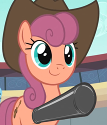Size: 1231x1440 | Tagged: safe, edit, edited screencap, editor:anonymous, screencap, wildwood flower, earth pony, pony, g4, the last roundup, /mlp/ latex requests, clothes, cowboy hat, evening gloves, female, gloves, hat, latex, latex gloves, long gloves, looking forward, mare, raised hoof, solo